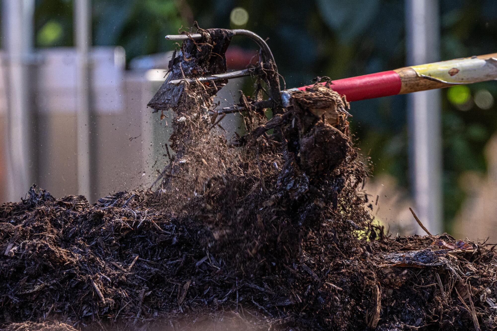 Caroline Johnson-Stephen turns a pile of compost. 