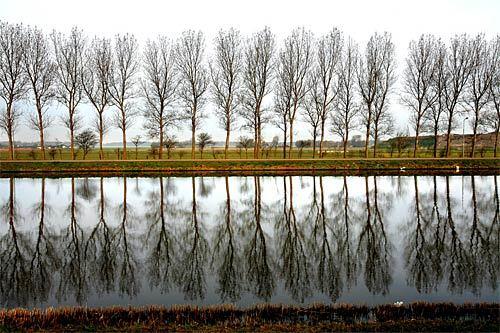 North of Amsterdam in Alkmaar, the countryside beckons with a tree-lined path, an excellent hiking-biking respite.