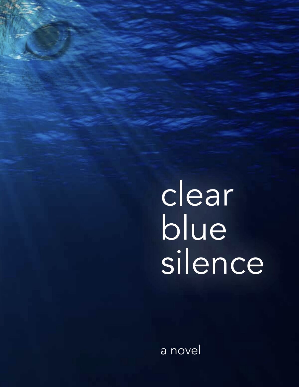  “Clear Blue Silence” by author Allan Havis