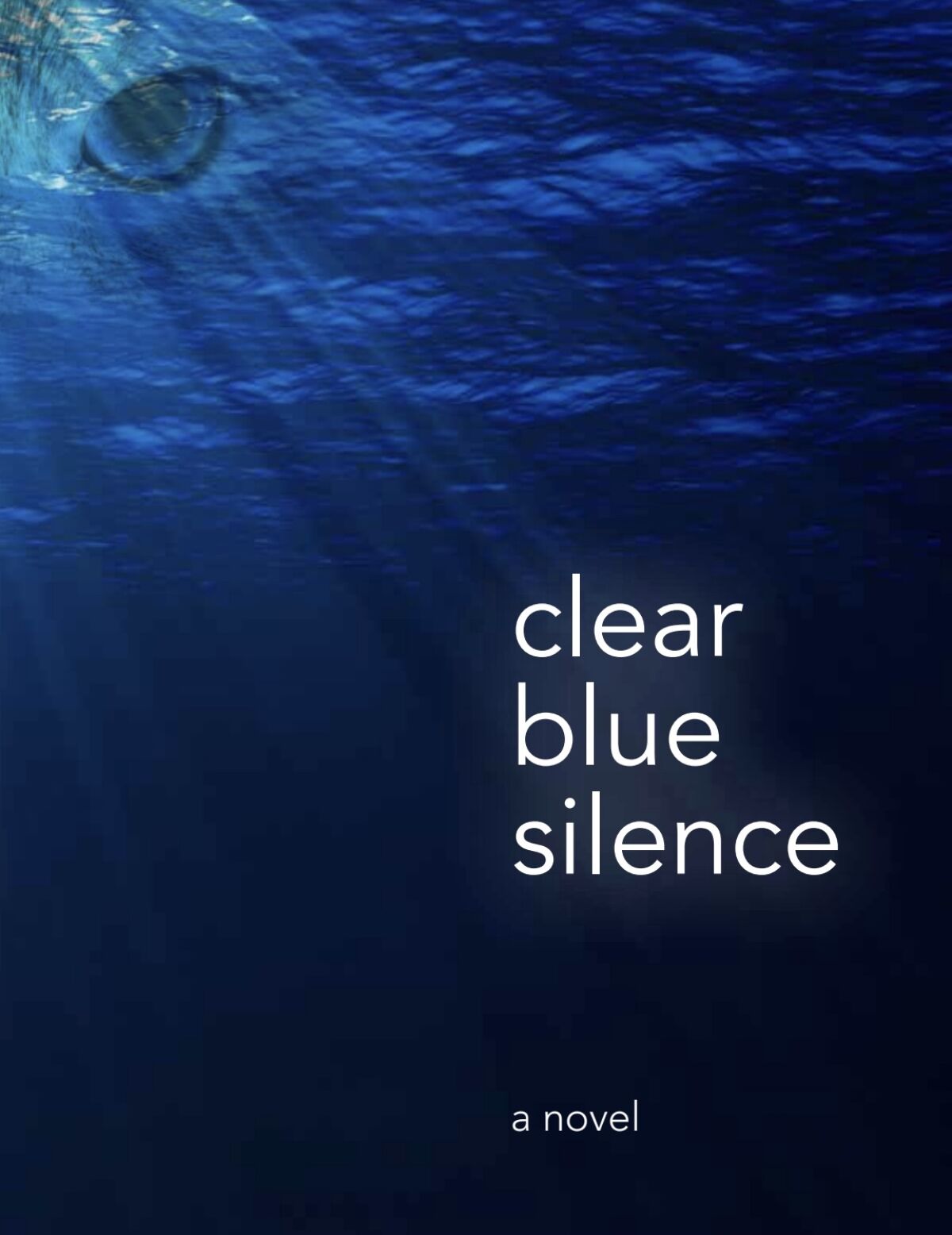 “Clear Blue Silence” by author Allan Havis