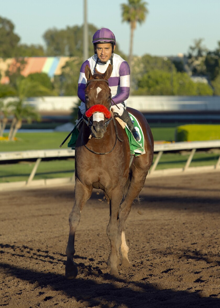 In a photo provided by Benoit Photo, Reddam Racing's Slow Down Andy and jockey Mario Gutierrez trot after their win in the Grade II $300,000 Los Alamitos Futurity Saturday, Dec. 11, 2021 at Los Alamitos Race Course in Cypress, Calif. (Benoit Photo via AP)