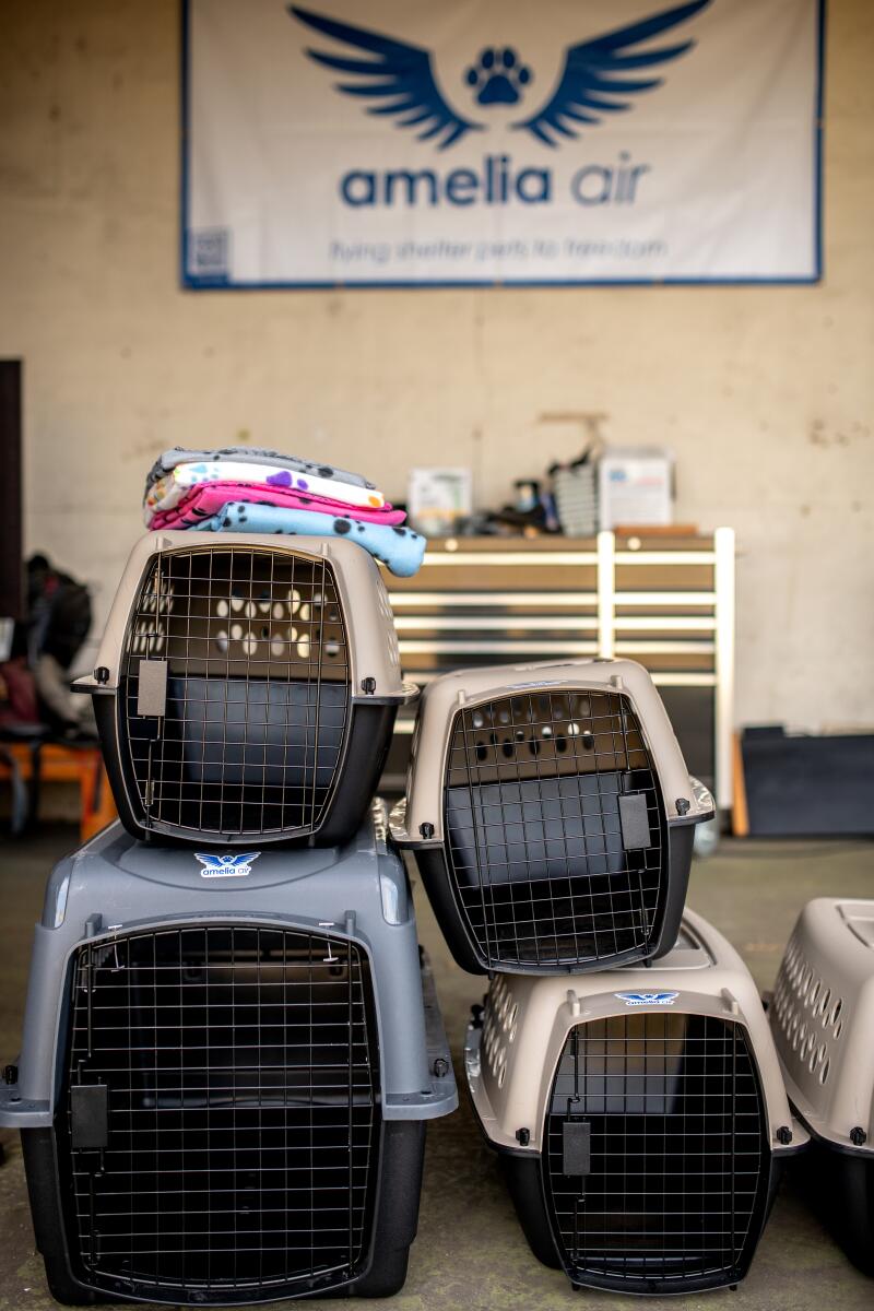 Crates, which will load into the back of Petra Janney's plane to rescue dogs.