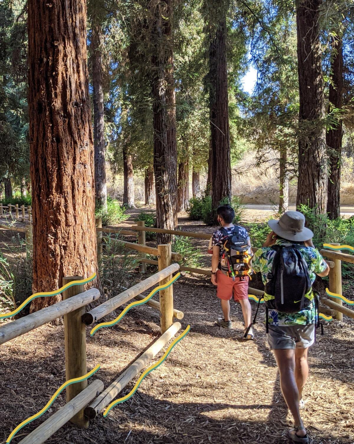 Two visitors hike on a dirt bath between wood fencing.
