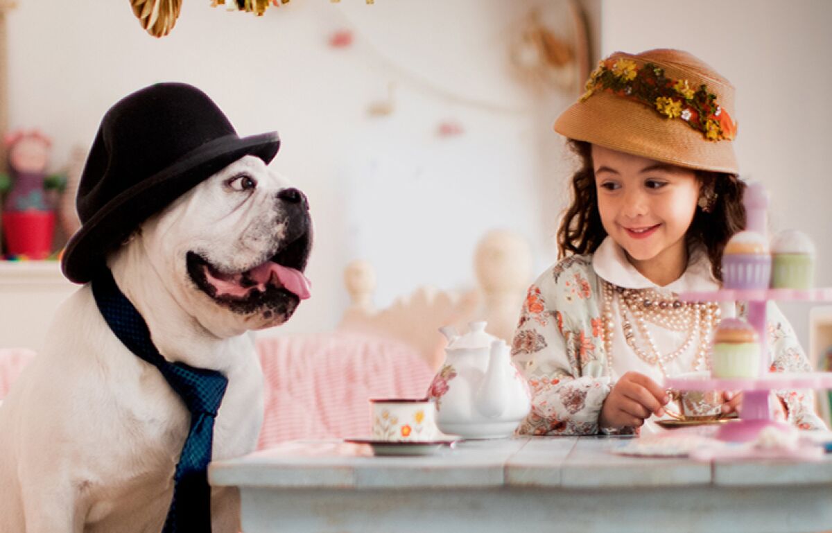 Coldwell Banker founded the Homes for Dogs Project, a partnership with Adopt-a-Pet.com, aimed at helping adoptable dogs find loving homes.