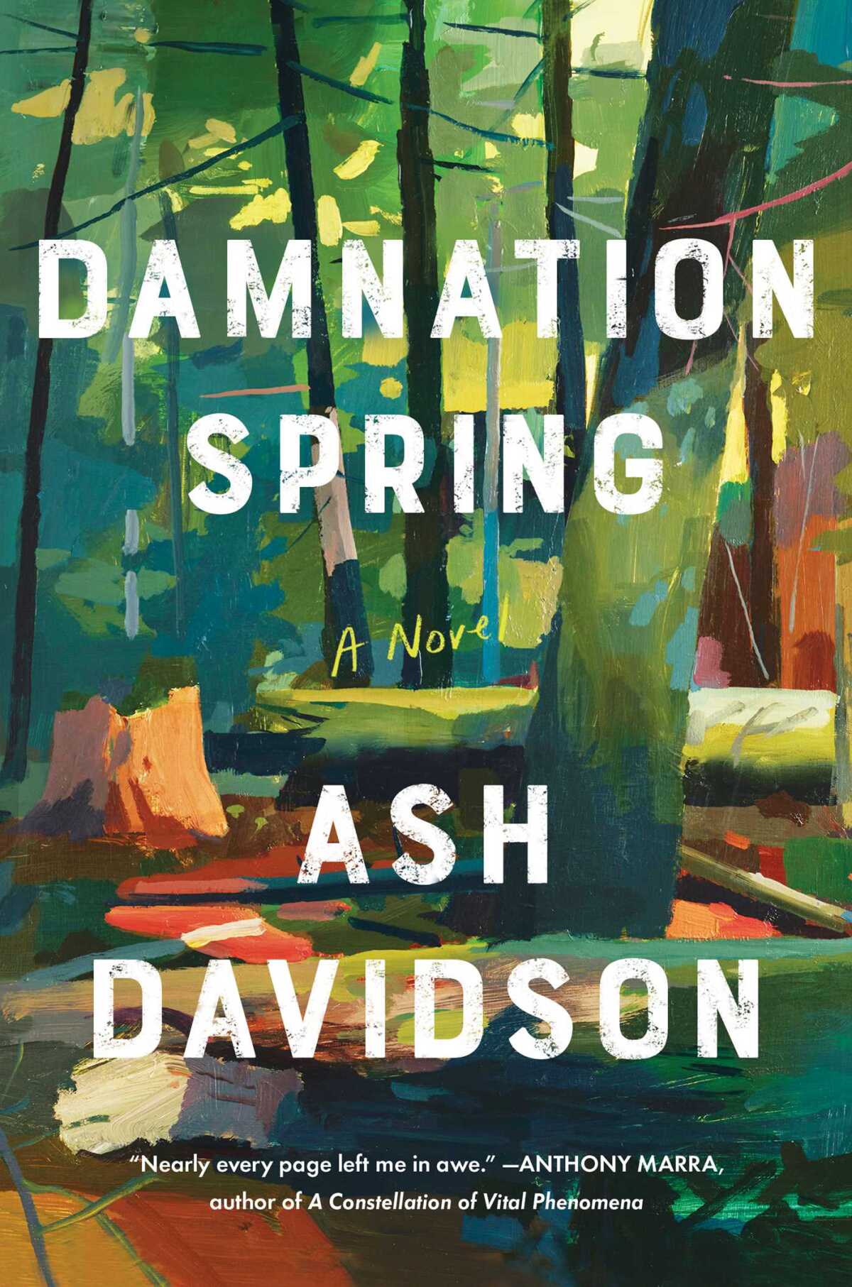 "Damnation Spring," by Ash Davidson