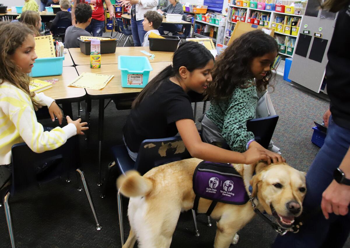 Students of Hope View Elementary School meet a golden Labrador retriever.