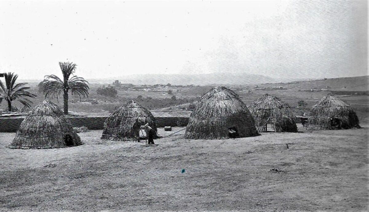 These Kumeyaay ewaas, built on Presidio Hill in 1929, give an idea of what the village of Cosoy may have looked like.