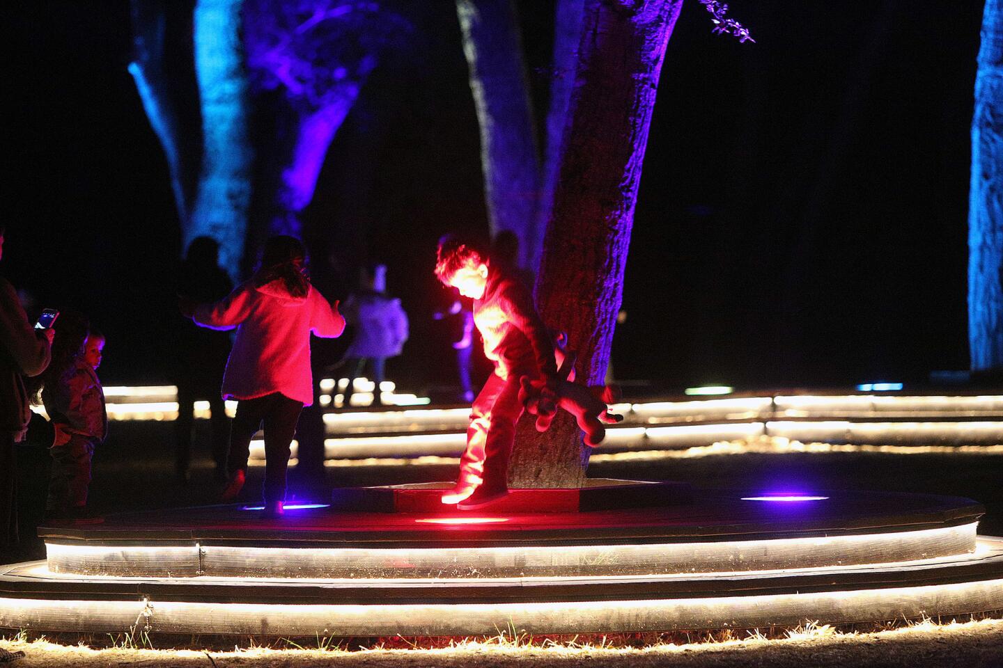 Photo Gallery: Descanso Gardens Enchanted Forest of Light