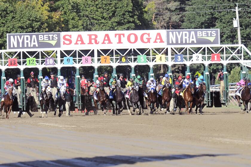 FILE - In this Aug. 27, 2016, file photo, horses break from the gate at the start of the Travers Stakes horse race at Saratoga Race Course in Saratoga Springs. Triple Crown winner Justify won't be running during the 150th meet at Saratoga Race Course, but many of the best thoroughbreds will be at the historic track for the 40-day season. The meet features 69 stakes races worth $18.8 million in purses and opens Friday, July 20, 2018. (AP Photo/Hans Pennink, File)