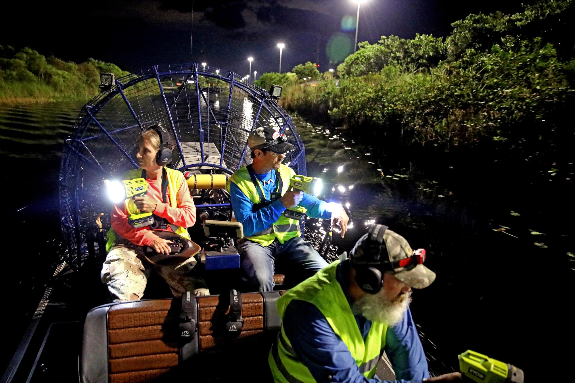 Three people in an airboat hunt for pythons in the Everglades.