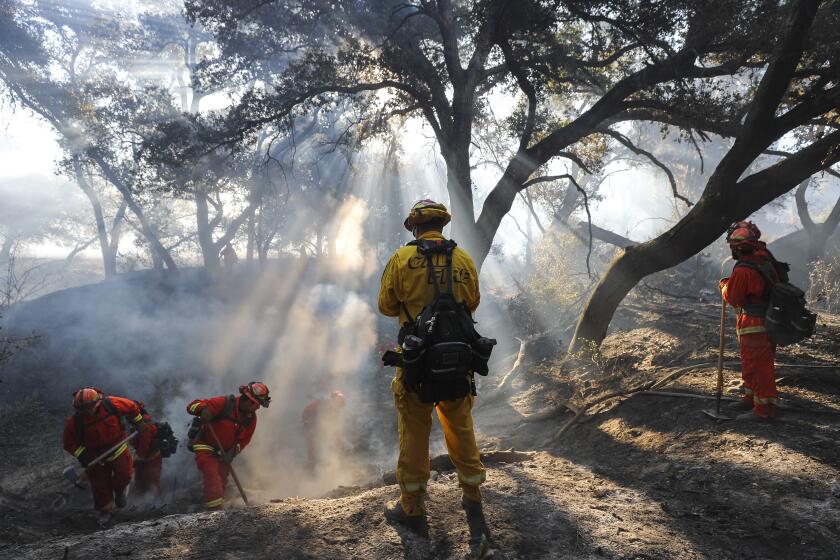 A Cal Fire fire captain, center, watches as a crew of inmates from the La Cima Fire Camp put out hot spots left from Friday's brushfire while in a dry creek bed next to Littlepage Road on Saturday, October 26, 2019 in Ramona, California.