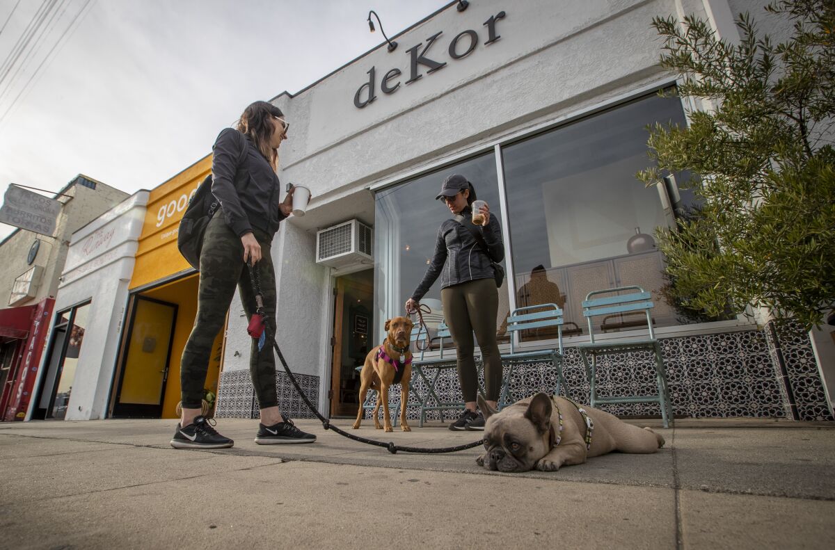 Two people walk their dogs outside shops 