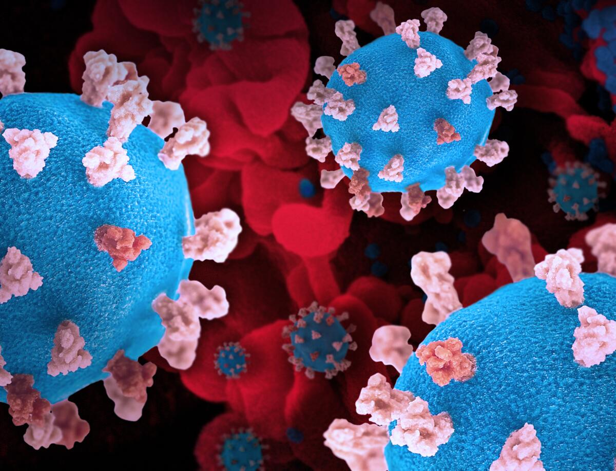 Coronavirus models  with a background image of an infected cell 