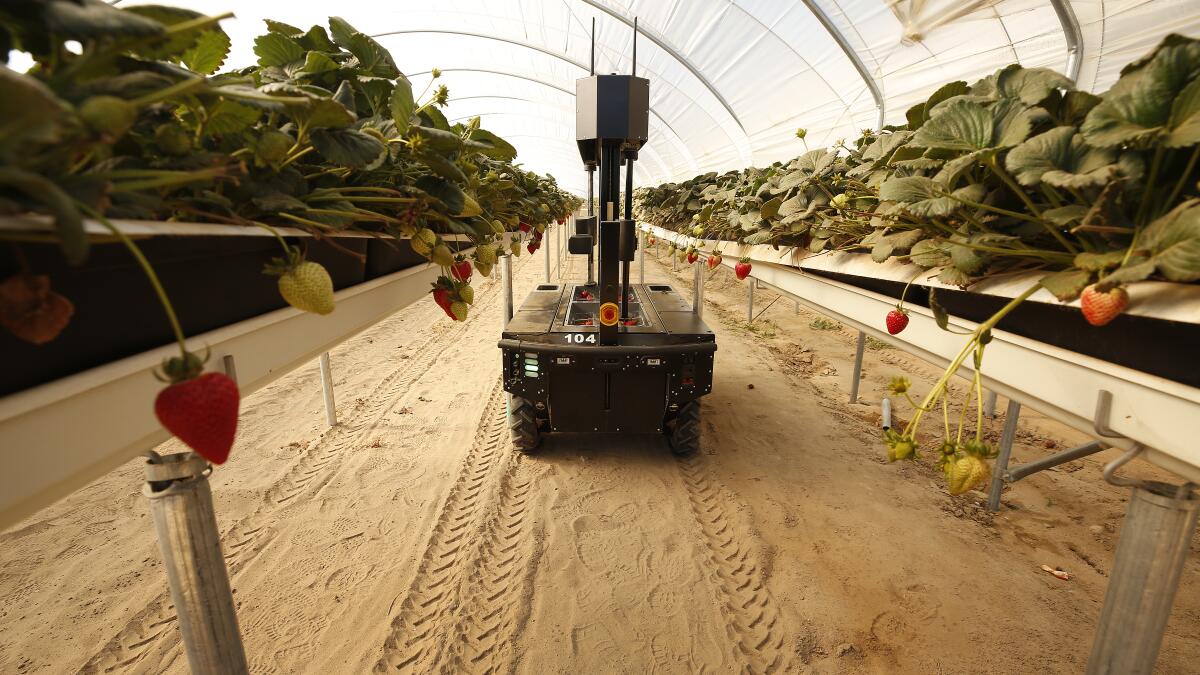 AgTech post-harvest innovator that helps extend produce quality