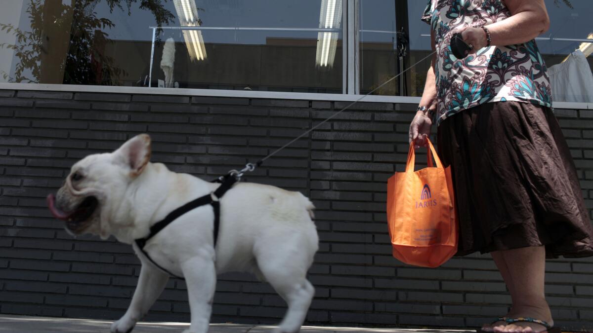 Many dog owners prefer the convenience of retractable leashes, but they may not always be legal.