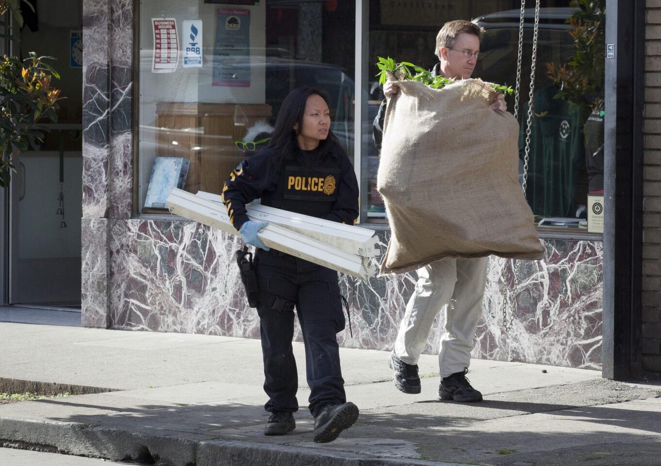 Agents from the DEA and the IRS-CID load an alleged bag of cannabis and light fixtures from the Oaksterdam gift shop during an early morning multi-agency raid in Oakland. Oaksterdam University runs several facilities in downtown Oakland for education and distribution of medical cannabis.