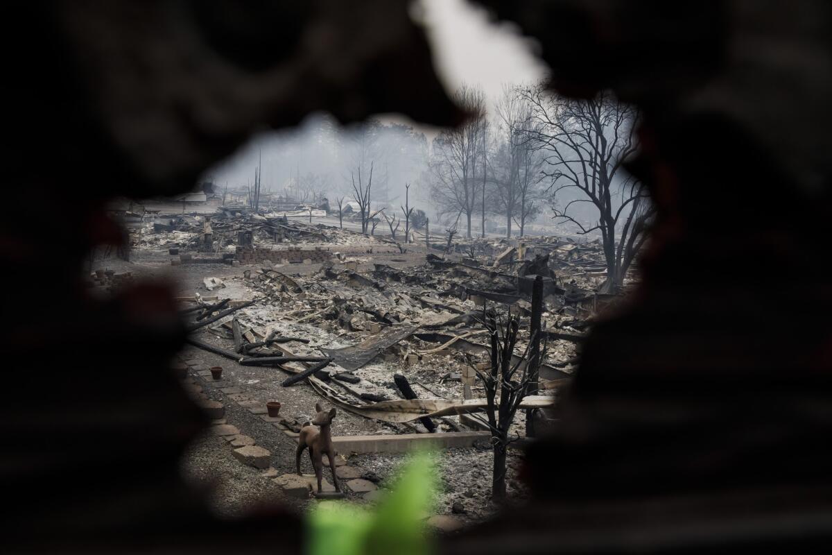 A view of a mobile home park after it was destroyed by the Camp fire in Paradise, Calif.