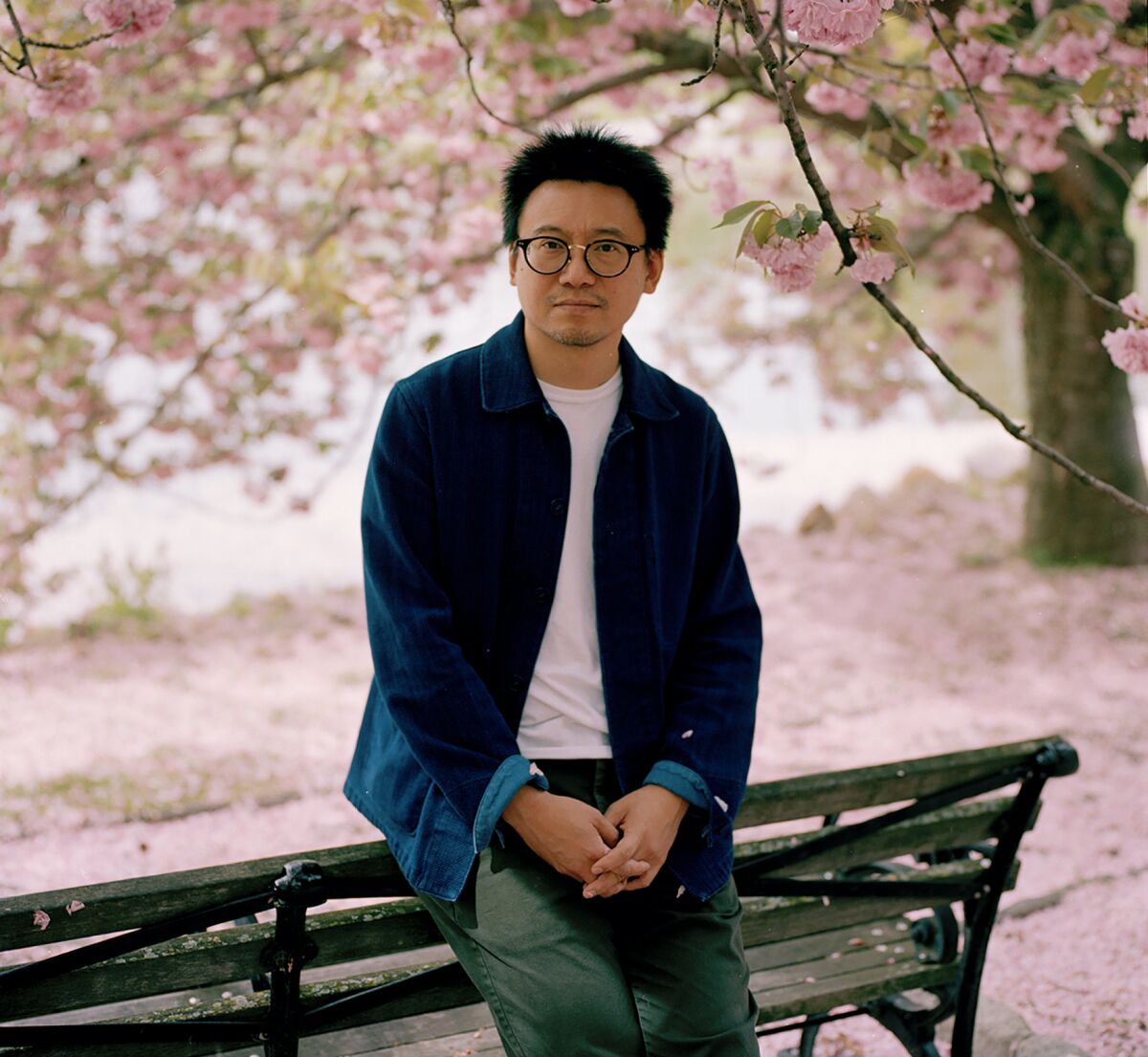 A casually dressed man leans against a park bench as pink cherry blossoms cover branches above him and the ground behind him