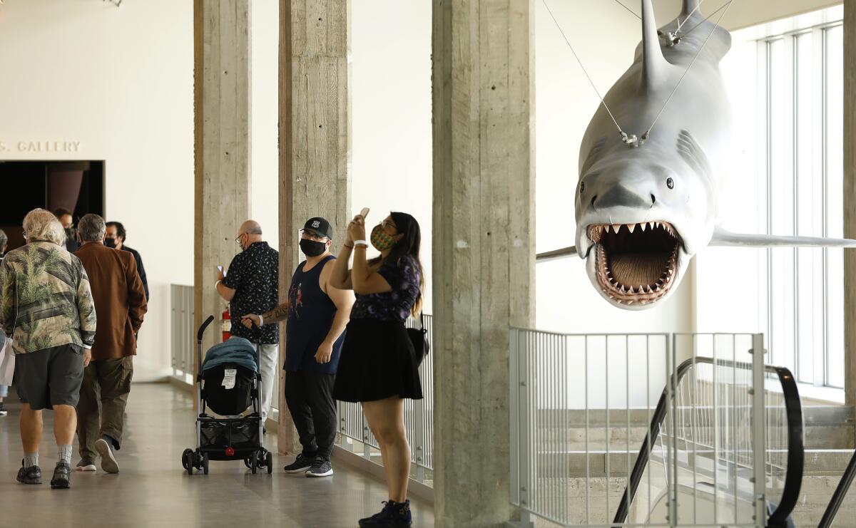 Bruce, the prop shark used to film the movie "Jaws," hangs from a ceiling over an escalator at the Academy Museum.