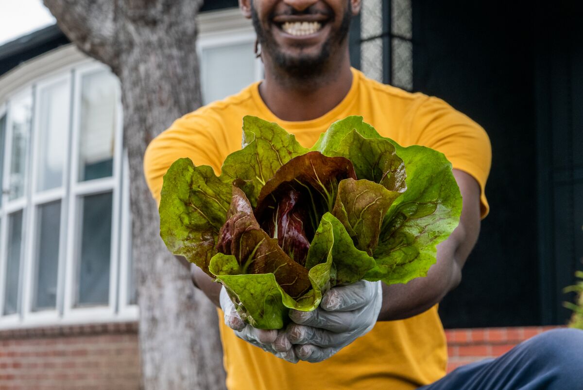 Jamiah Hargins holding greens from the Asante Microfarm.