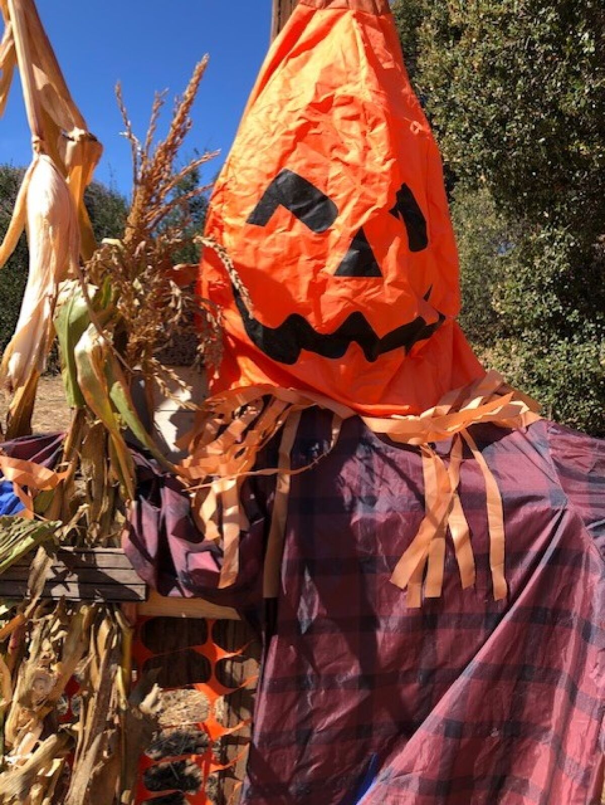 Halloween festivities are happening throughout North County