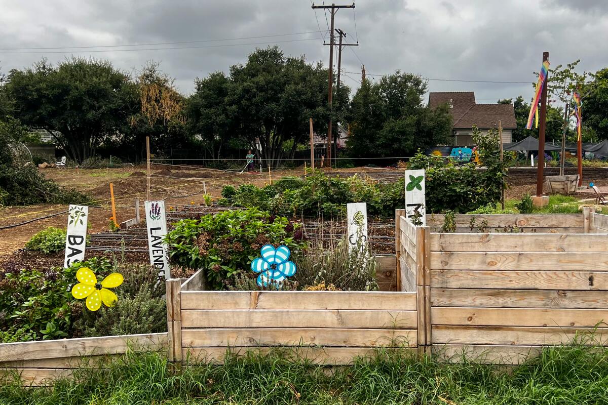 Farm beds with plants and signs that say "basil" and "lavender."