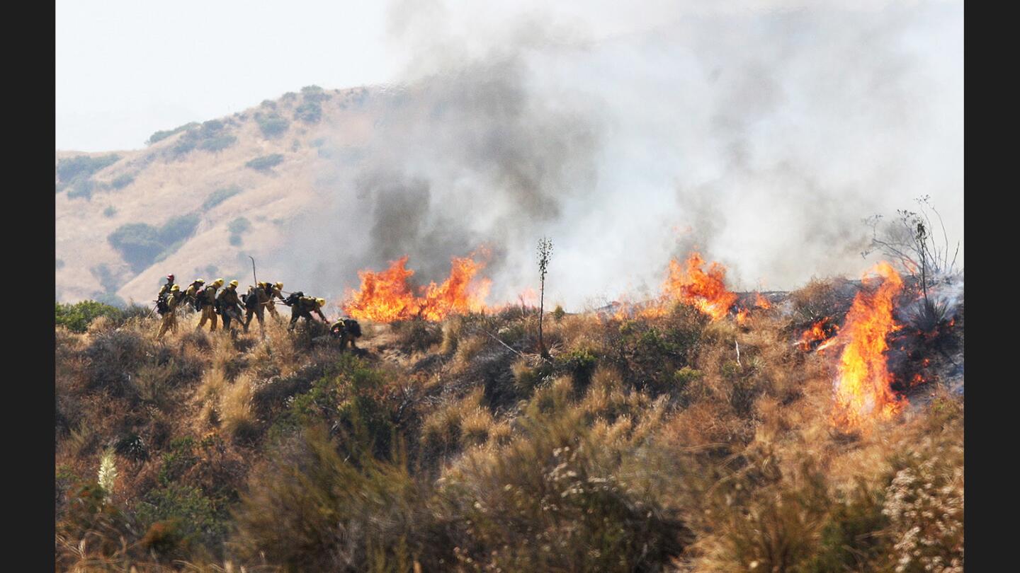 Photo Gallery: Brush fire above Hamline Place in Burbank foothills