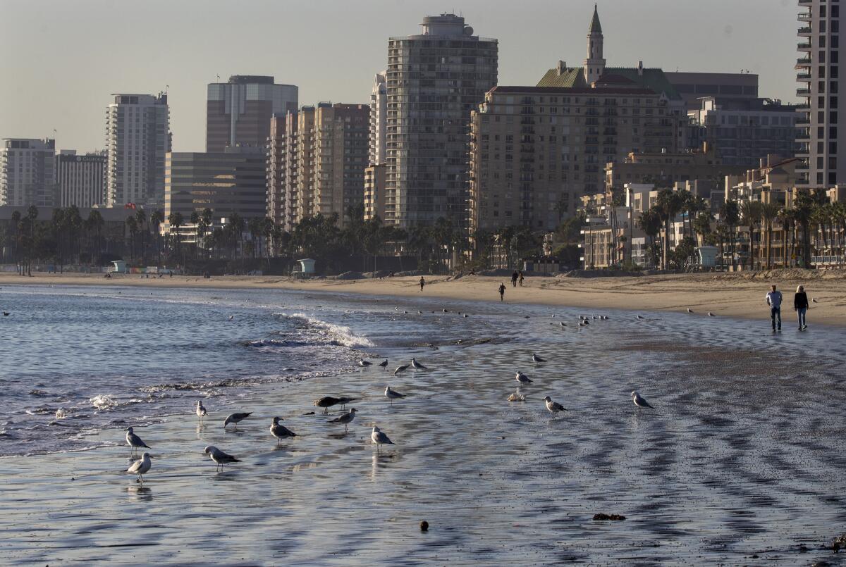 There is a sense of calm on the Long Beach shoreline.