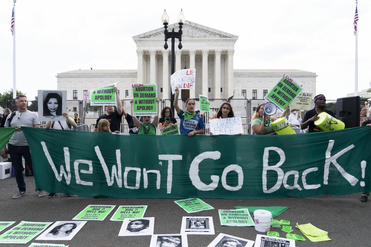 Protesters with a "We Won't Go Back" sign in front of the Supreme Court. 