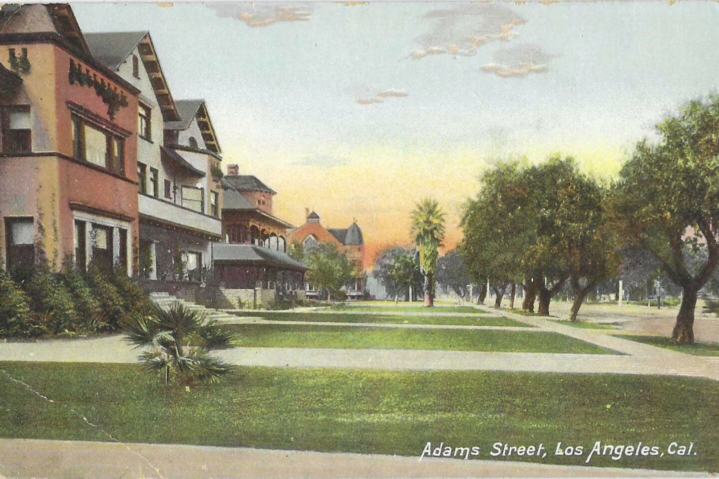 Postcard shows stately homes with large front lawns — "Adams Street, Los Angeles, Cal."