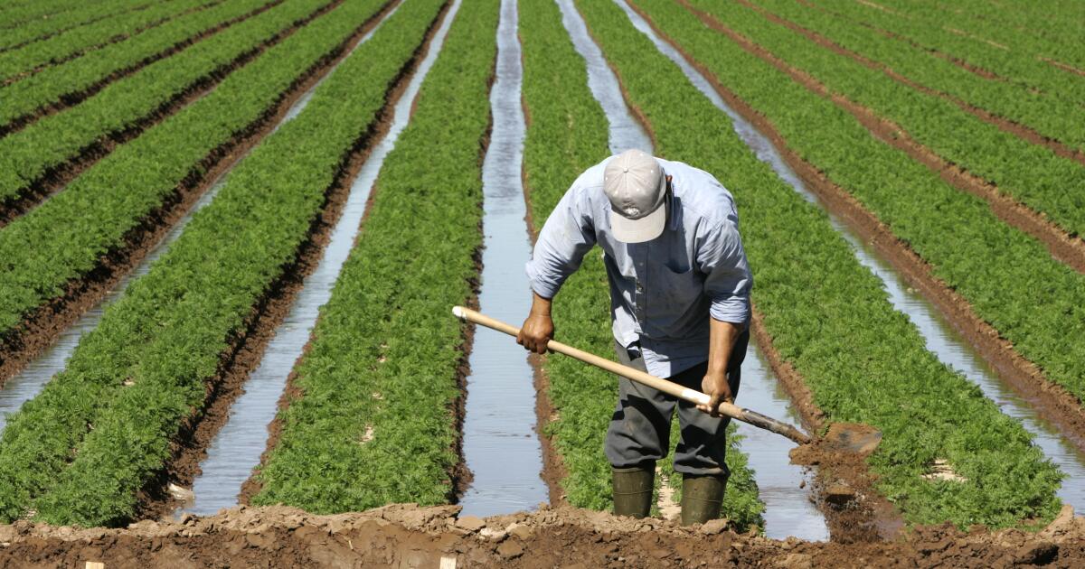 A Califórnia caminha para uma seca devido ao seu quinto La Niña em seis anos