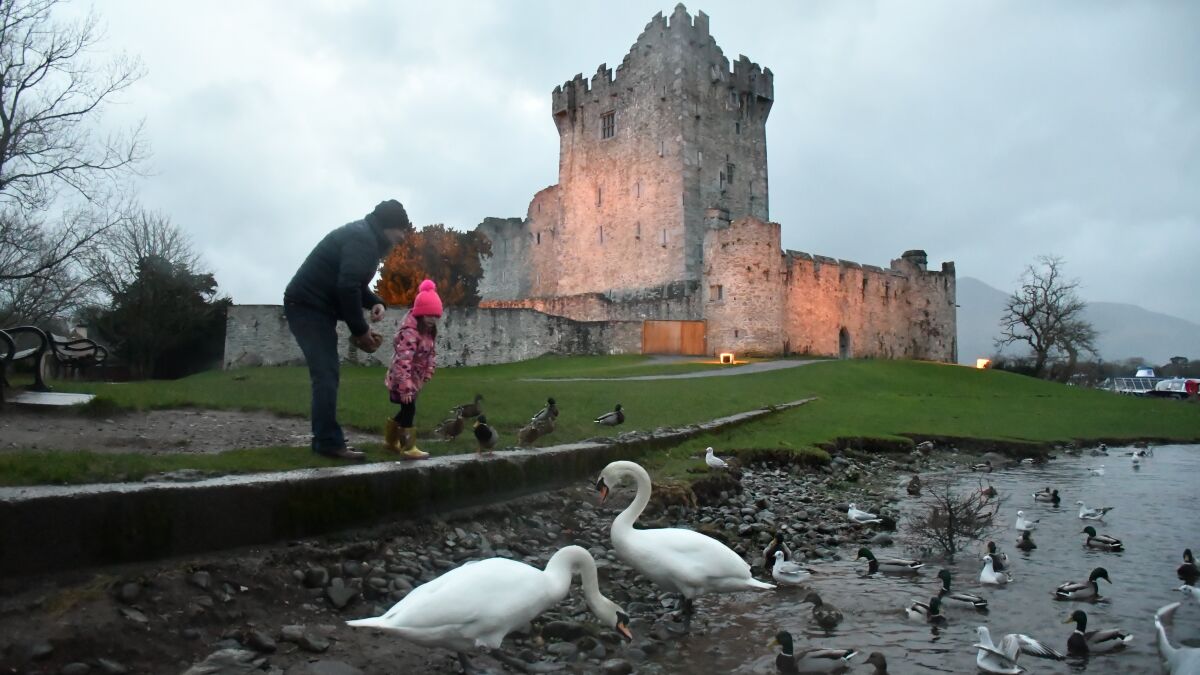 Ross Castle, Killarney, County Kerry, Ireland.