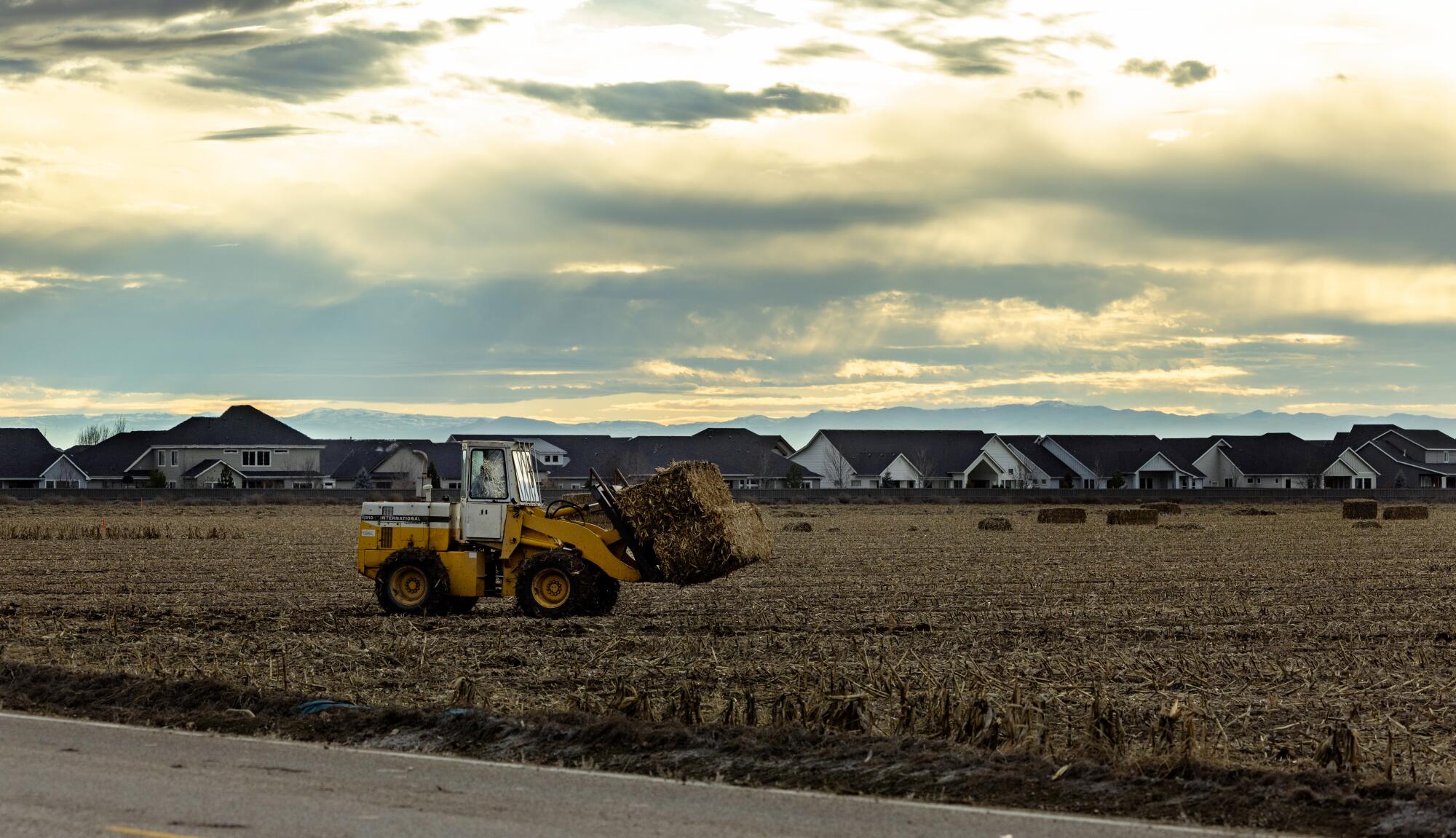 Hay bales are moved on open fields next to a new housing development in Eagle, Idaho.