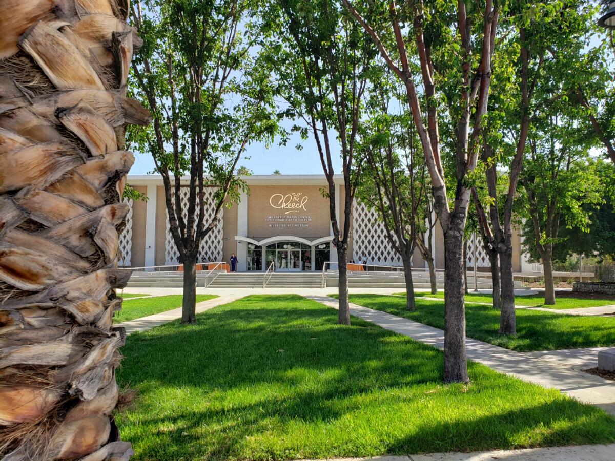 A building is seen through a grove of trees.