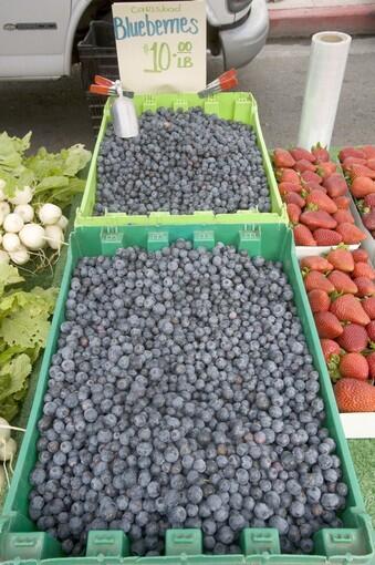 Blueberries grown by Valdivia Farms of Carlsbad, at the Hollywood farmers market.