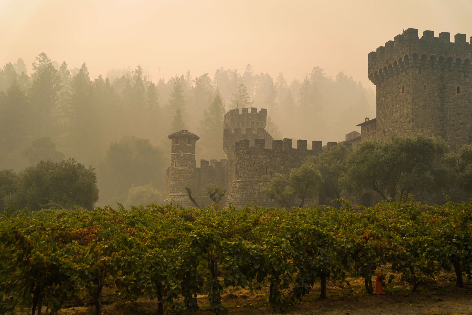 Smoke shrouds the stone buildings and vines at Castello di Amorosa.