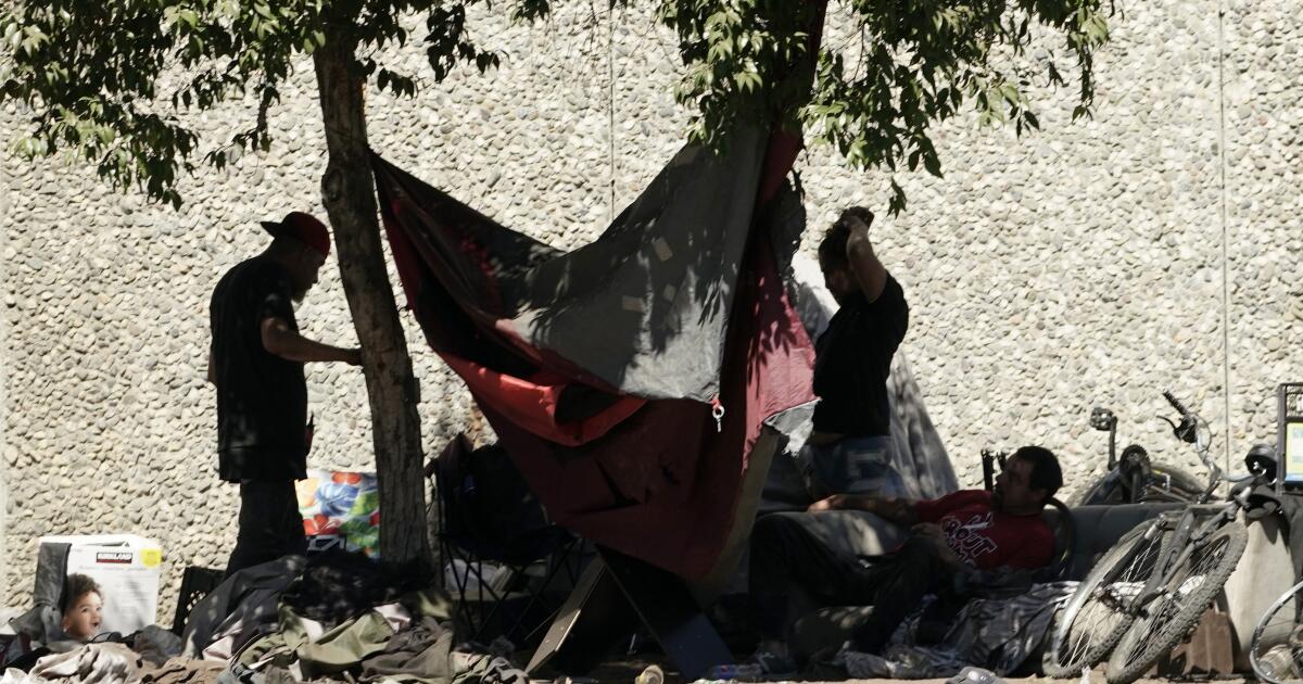 Sacramento homeless count shows 29% drop, but accuracy questioned