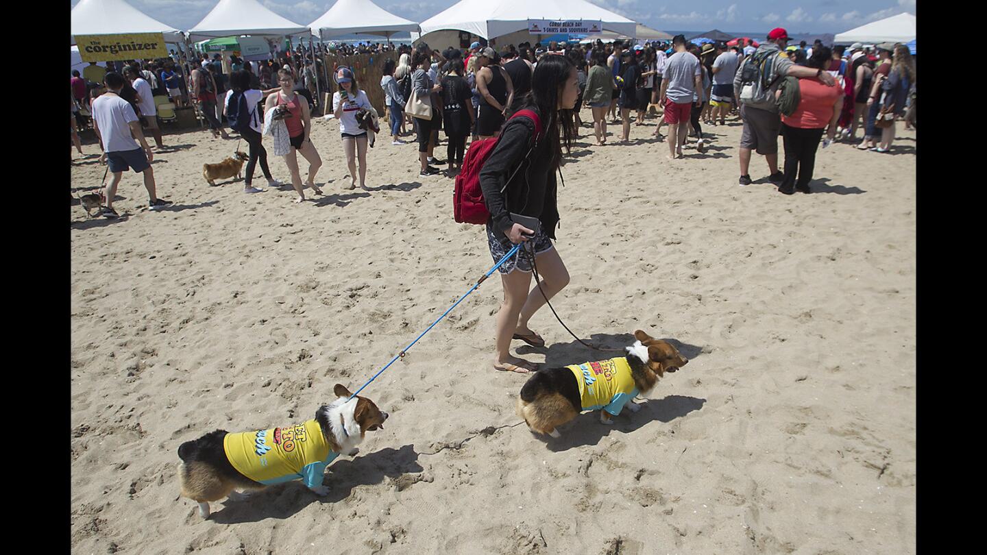 Beach Day in Huntington Los Angeles Times