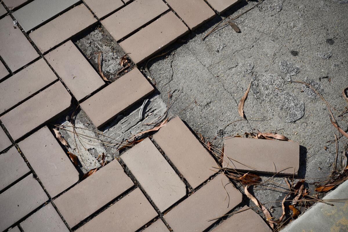Dislodged cobblestones cluttered with dried eucalyptus leaves on the ground.
