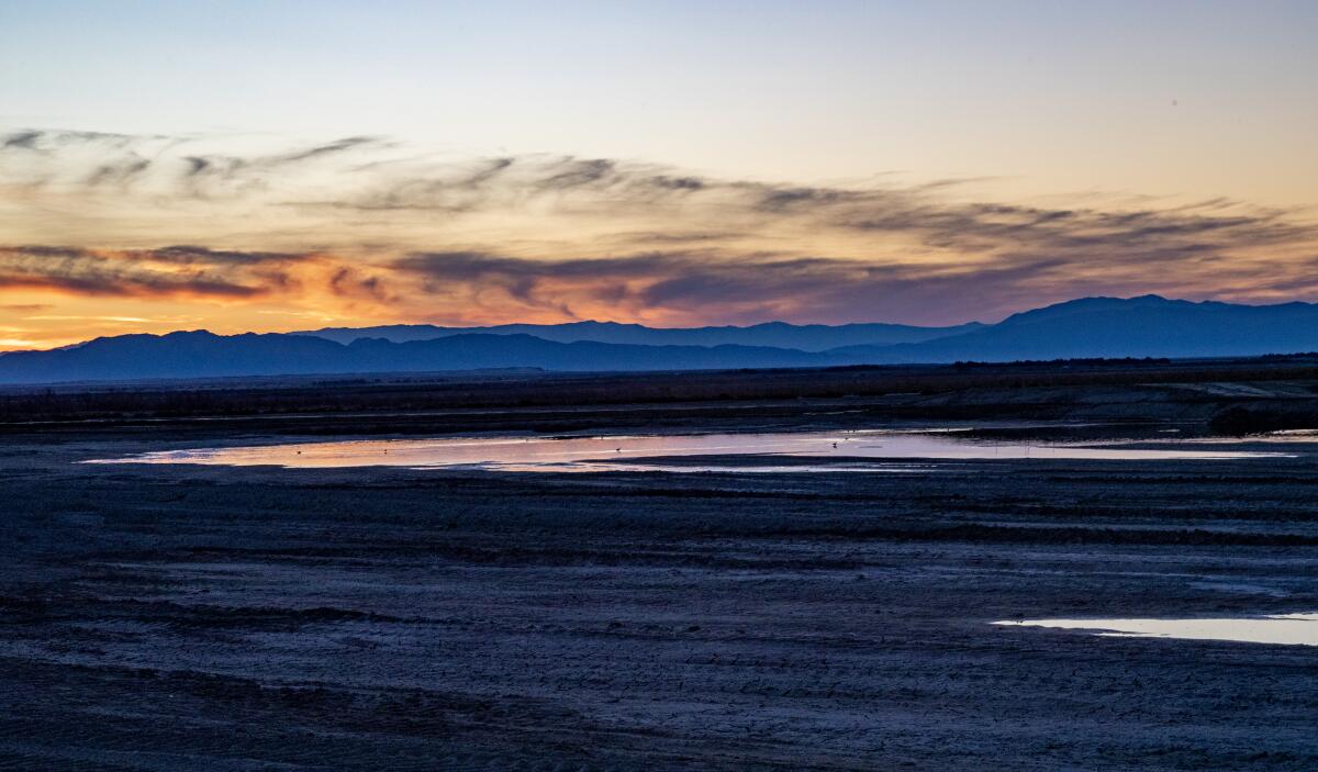 A landscape view of wetlands shortly before nightfall, with mountains in the distance.