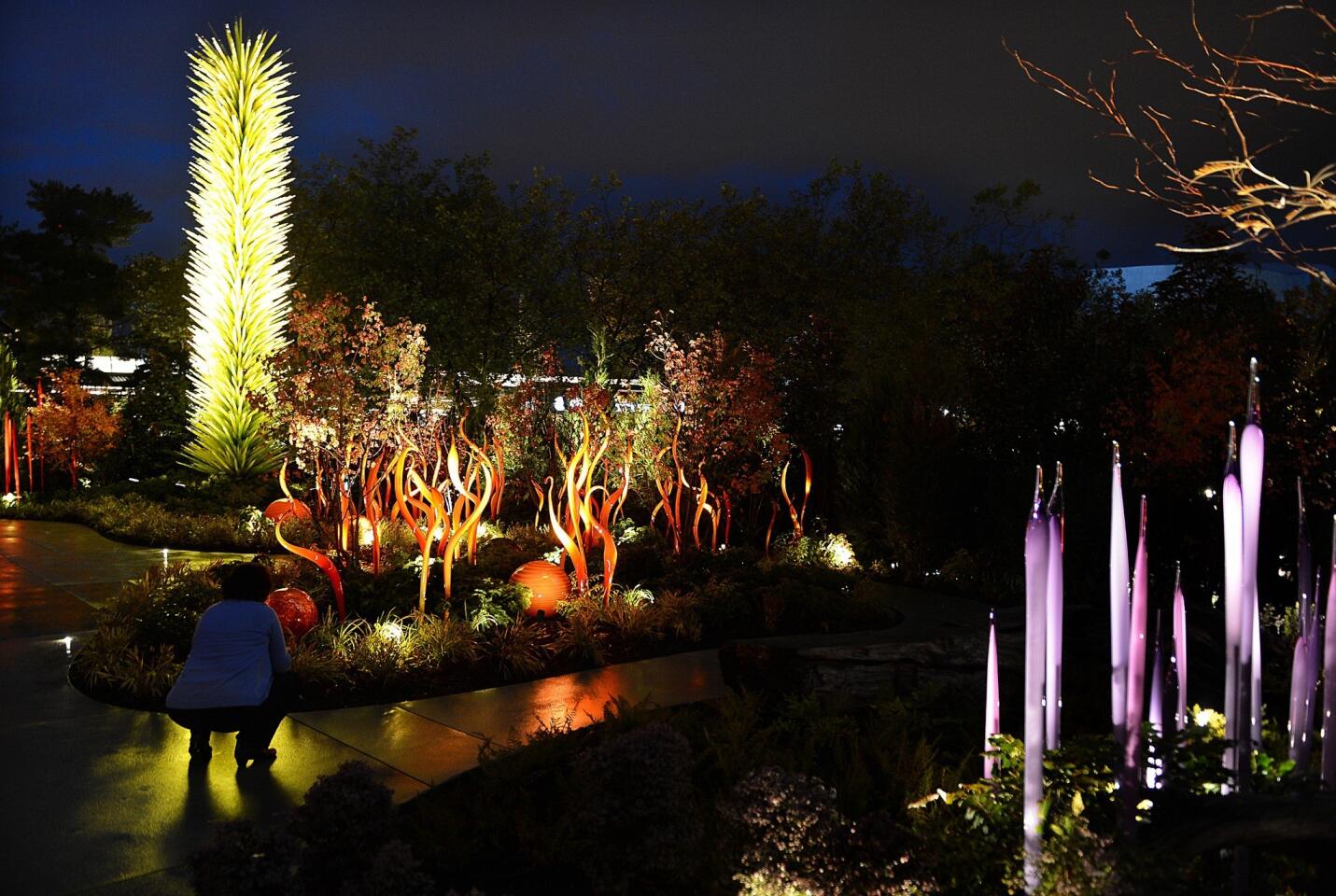 "Chihuly Garden and Glass"