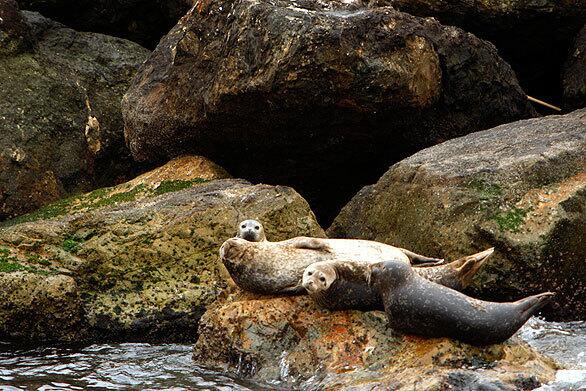 On the rocks