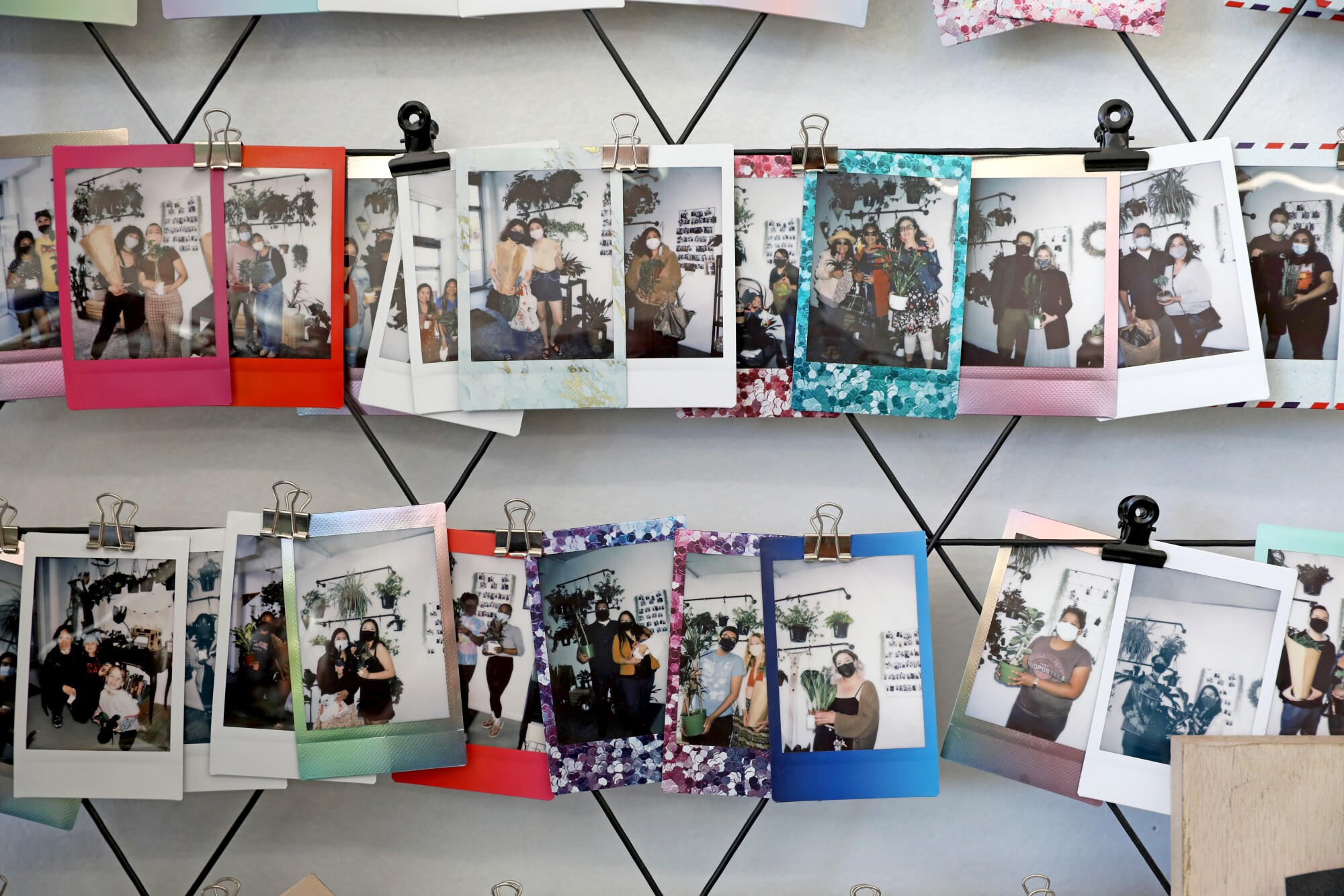 Polaroid photos of customers with their plants on display