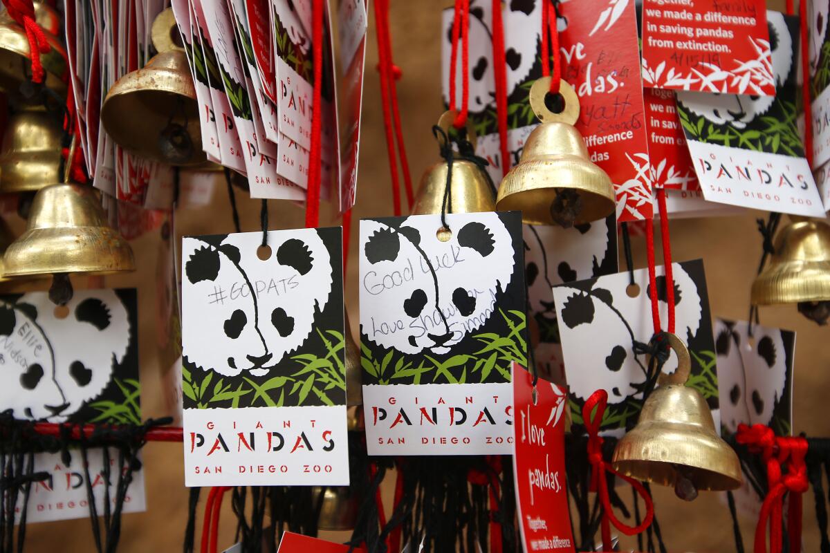 Zoo guests have left well wishes for pandas