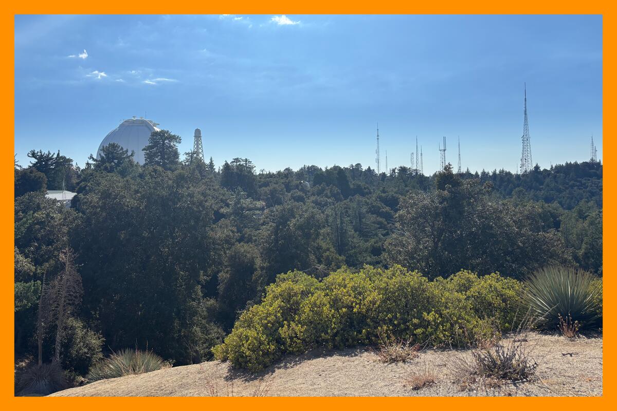 Thick trees break for a large, white domed telescope and multiple thin, towering antennas