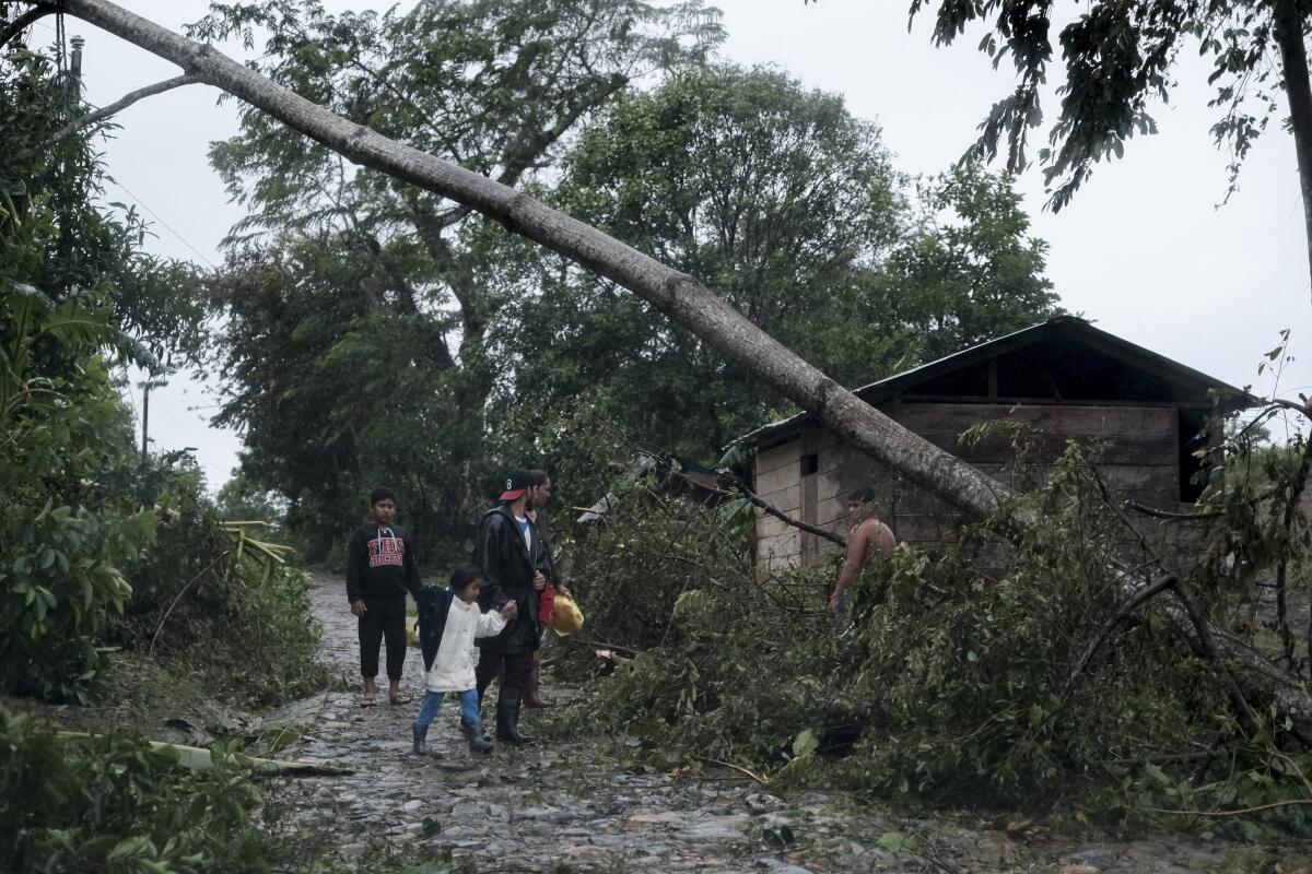 A fallen tree lies on the road in Nicaragua