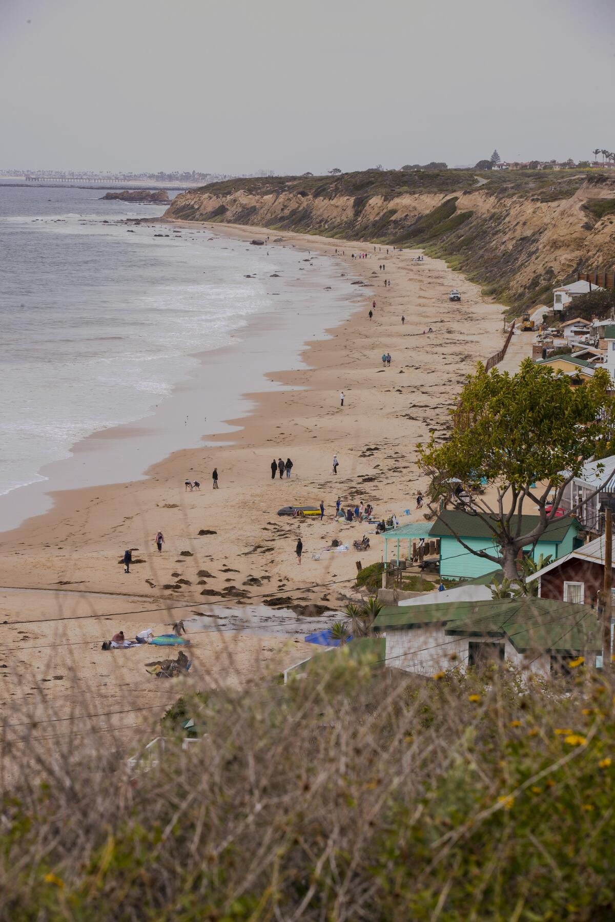 An overlook of the Crystal Cove historical district.
