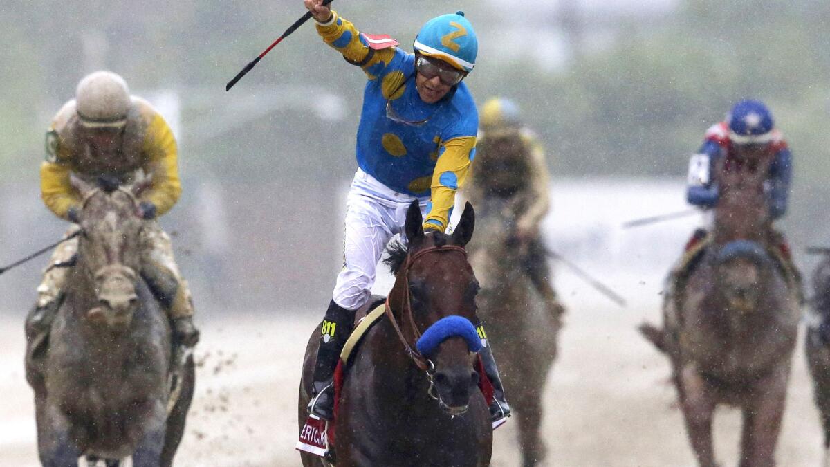 Jockey Victor Espinoza celebrates after riding Kentucky Derby winner American Pharoah to victory in the 140th Preakness Stakes on Saturday. The pair will try to win the Triple Crown on June 6 at the Belmont Stakes.