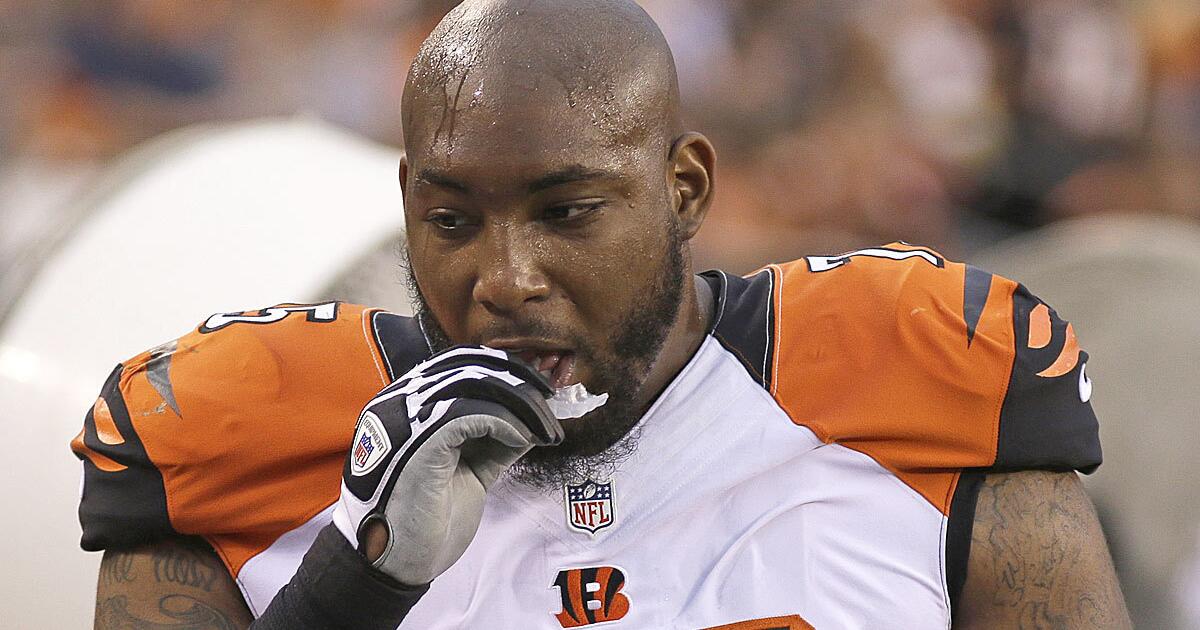 Bengals selling Devon Still jerseys for cancer research - NBC Sports