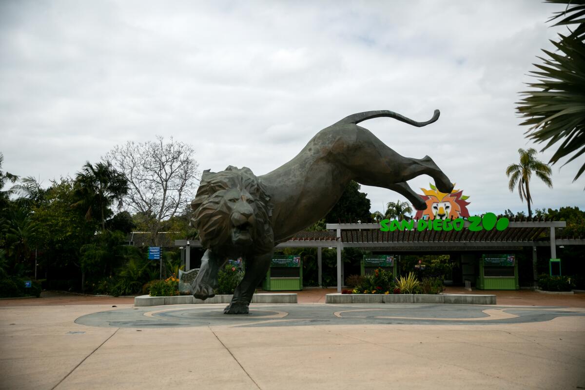 A lion statue at the zoo's entrance.